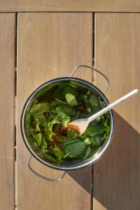 How to Make a Tasty Lemon Balm Lemonade | What Steve Eats