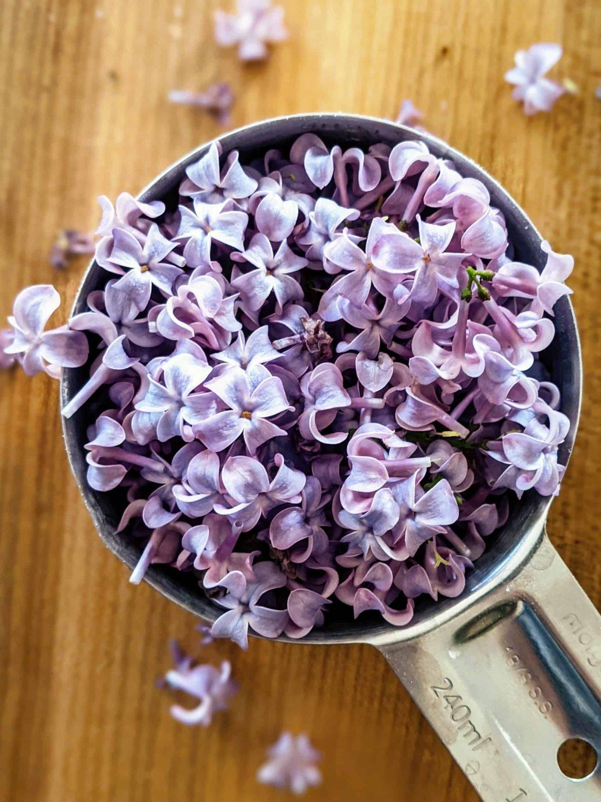 a measuring cup filled with picked lilac flowers