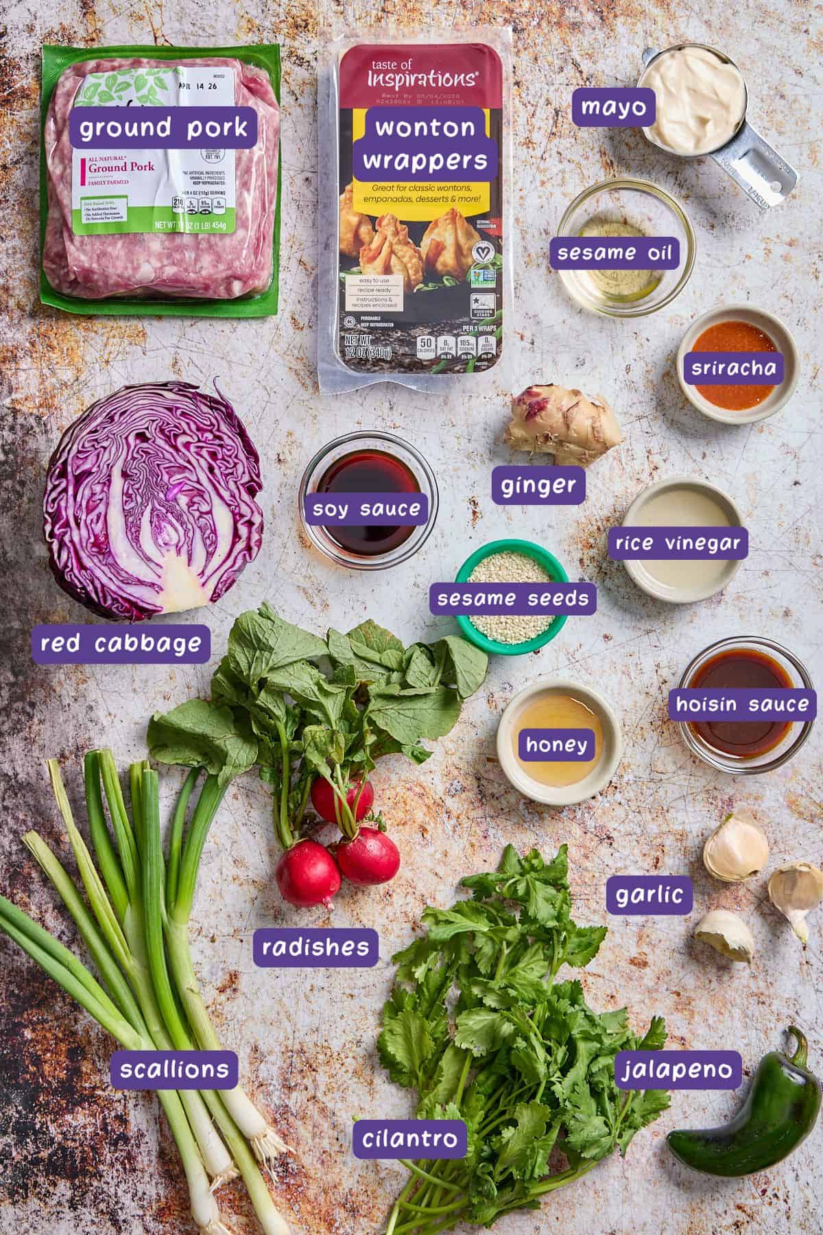 ingredients for making the asian nacho recipe spread out on a counter